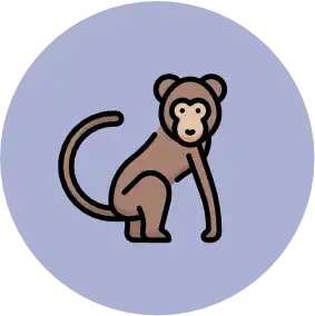button affe