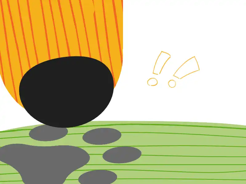 Hund schnüffelt eine Spur