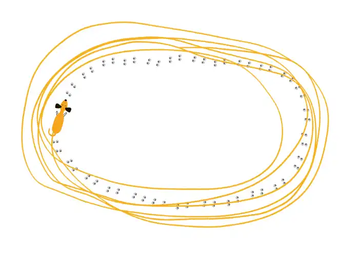 Hund schnüffelt sich selbst