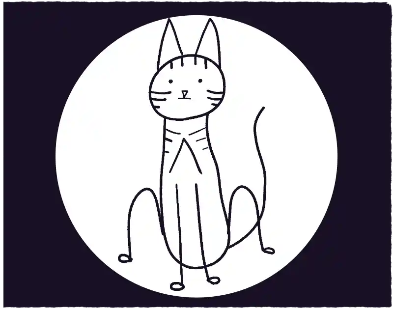 Katze