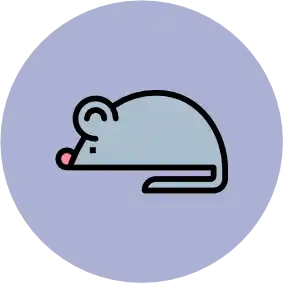 button maus