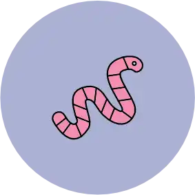 button wurm