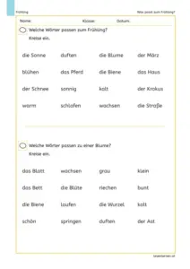 Arbeitsblatt „Was passt zum Frühling?“: Kinder kreisen passende Wörter ein – einmal zum Frühling, einmal zur Blume (z. B. Sonne, März, Krokus, Blüte, Wurzel).