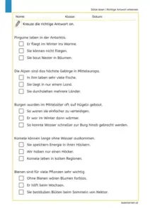 Arbeitsblatt „Sätze lesen – Richtige Antwort erkennen“ mit 5 kurzen Sach-Sätzen und drei Antwortmöglichkeiten zum Ankreuzen.