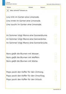 Arbeitsblatt für die 2. Klasse: Kinder lesen ähnliche Sommer-Sätze und kreuzen jeweils den sinnvollen Satz an.